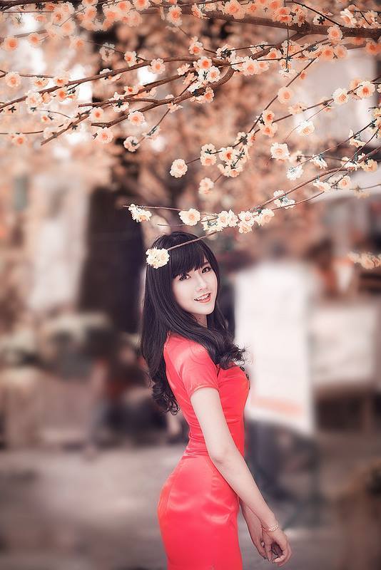 神印王座全集免费